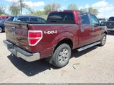 Ford F-150 Fx4/Harley-Davidson/King Ranch/Lariat/Platinum/Xl/Xlt 1FTFW1EV1AFB62799 fotografie