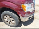 Ford F-150 Fx4/Harley-Davidson/King Ranch/Lariat/Platinum/Xl/Xlt 1FTFW1EV1AFB62799 fotografie