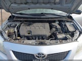 Toyota Corolla 2T1BU4EE0AC509828 снимка