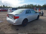 Toyota Corolla 2T1BU4EE0AC509828 снимка