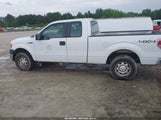 Ford F-150 Xl 1FTFX1EF6BFC14449 снимка