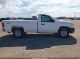 Chevrolet Silverado  Work Truck 1GCEK14CX8Z216925 photo