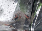 Chrysler Pacifica Select 2C4RC1BG5TR152753 fotografie