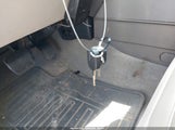 Miniaturka zdjęcia 11