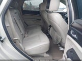 Cadillac Srx Performance Collection 3GYFNDE32DS642489 photo