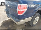 Ford F-150 Fx4/King Ranch/Lariat/Platinum/Xl/Xlt 1FTPW14V29KB41095 снимка
