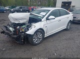Hyundai Sonata Hybrid Se KMHE24L31KA093553 photo