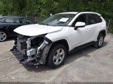 Toyota Rav4 Xle JTMW1RFV8MD062307 снимка