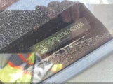 Land Rover Range Rover Sport Hse SALSF2D49DA762025 photo