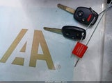 Miniaturka zdjęcia 11