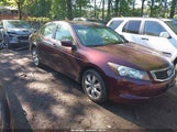 Honda Accord 2.4 Ex-L 1HGCP26888A064411 photo