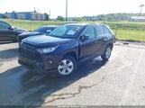 Toyota Rav4 Xle JTMP1RFV6LJ034171 fotografie