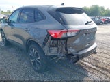 Ford Escape Se 1FMCU9G60MUA95203 снимка