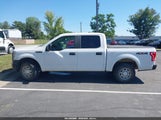 Ford F-150 Xl 1FTEW1E81HKD12997 снимка