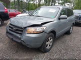 Hyundai Santa Fe Gls 5NMSG13D57H127491 снимка