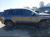 Jeep Grand Cherokee 80Th Anniversary 4X4 1C4RJFBG8MC526236 fotografie