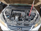 Honda Accord Ex 1HGCR2F77DA130961 снимка