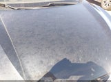 Nissan Rogue Sport Sv Fwd Xtronic Cvt JN1BJ1BV2MW573850 photo