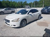 Nissan Maxima 3.5 Sv 1N4AA5AP8BC819873 снимка