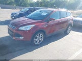 Miniaturka zdjęcia 2