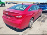 Hyundai Sonata 5NPE24AF9HH519105 снимка