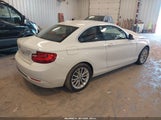 BMW 228I xDrive WBA1G9C57GV599808 снимка