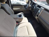 Ford F-150 Fx4/Harley-Davidson/King Ranch/Lariat/Platinum/Xl/Xlt 1FTFW1EV3AKA23488 photo