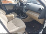 Toyota Rav4 2T3ZF4DV8BW066507 fotografie