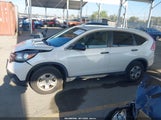 Honda Cr-V Lx 5J6RM3H36EL008065 снимка