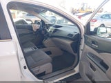 Honda Cr-V Lx 5J6RM3H36EL008065 снимка