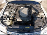 Infiniti M35X JNKAY01F37M462005 снимка