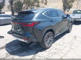 Lexus Nx 350H JTJAKCEZXS2065532 photo