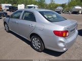 Toyota Corolla Le JTDBU4EE6AJ066489 снимка
