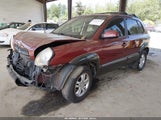 Hyundai Tucson Limited/Se KM8JN12D37U637880 снимка