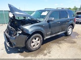Ford Escape Xlt 1FMCU93138KC18777 fotografie