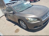 Nissan Maxima 3.5 S 1N4AA5AP8DC845800 fotografie