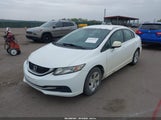 Honda Civic Lx 19XFB2F53EE025508 fotografie