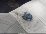 Miniaturka zdjęcia 11