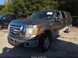 Ford F-150 Fx4/Harley-Davidson/King Ranch/Lariat/Platinum/Xl/Xlt 1FTFW1EV5AFC46592 fotografie