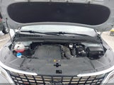 Kia Carnival Mpv Sx Prestige KNDNE5H37N6146466 fotografie