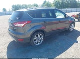 Ford Escape Titanium 1FMCU0J96FUA59534 fotografie
