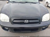 Hyundai Santa Fe Gls/Limited KM8SC13E56U040116 photo
