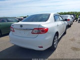 Toyota Corolla Le 2T1BU4EE1DC036381 fotografie