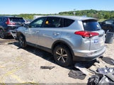 Toyota Rav4 Xle 2T3RFREV5JW698469 снимка