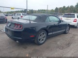 Ford Mustang V6 Premium 1ZVBP8EM8D5213993 снимка