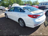 Hyundai Sonata 5NPE24AF8HH561104 fotografie