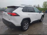 Toyota Rav4 Xle 2T3P1RFV8PC365486 снимка