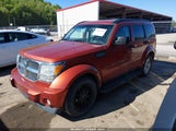 Dodge Nitro Slt/Rt 1D8GU58K37W613647 photo