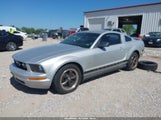 Ford Mustang V6 1ZVFT80N165110141 снимка