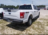 Ford F-150 Xl 1FTEW1E89HKD49697 снимка